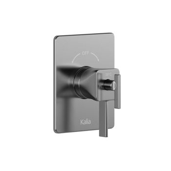 SQUAREONE Calgreen 2-way AQUATONIK type T/P 1/2“ coaxial valve with diverter and decorative trim